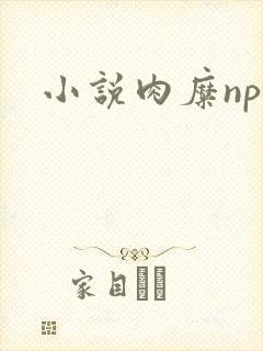 小说肉糜np