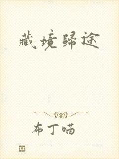 藏境归途