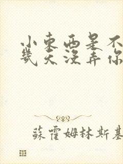 小东西是不是好几天没弄你了封面