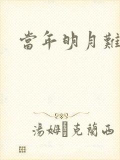 当年明月难寻封面