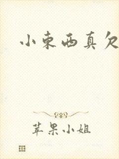 小东西真欠弄