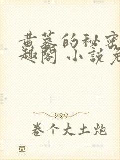黄蓉的秘密 笔趣阁 小说免费阅读下载封面