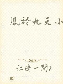 凤于九天小说