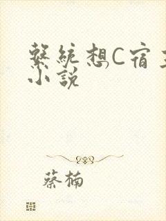 系统想C宿主的小说