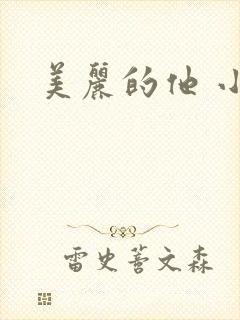 美丽的他 小说封面