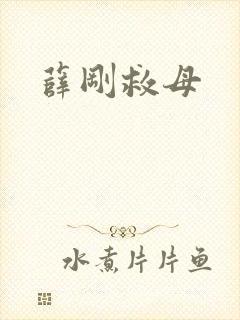 薛刚救母
