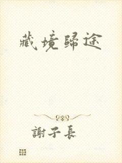 藏境归途