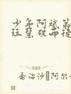少年阿斌第二部珏慧破而后立