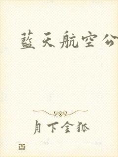 蓝天航空公司