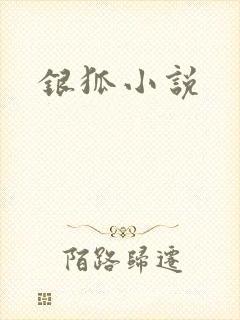 银狐小说