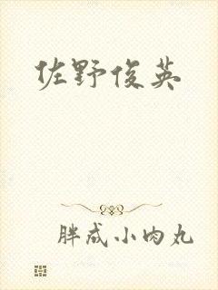 佐野俊英封面