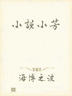 小说小芳封面