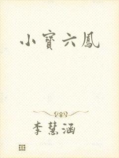 小宝六凤