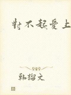 对不起爱上你