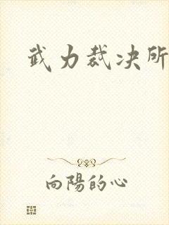 武力裁决所