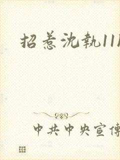 招惹沈执11h