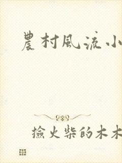 农村风流小说