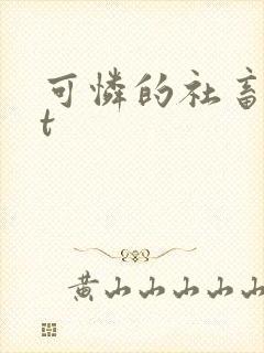 可怜的社畜txt