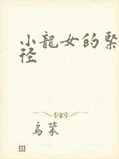 小龙女的紧致花径封面