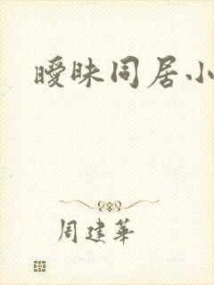 暧昧同居小说