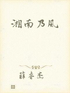 湘南乃风封面