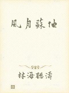风月苏他
