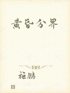 黄昏分界封面