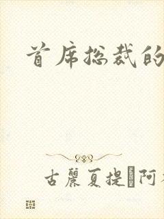 首席总裁的逃妻