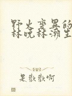 野火变异的父爱林晚林潮生