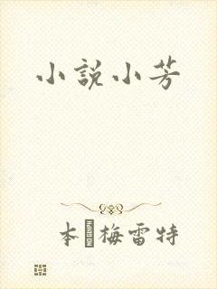 小说小芳