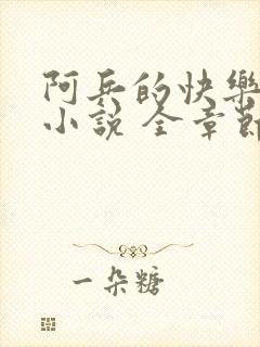 阿兵的快乐生活小说 全章节阅读免费
