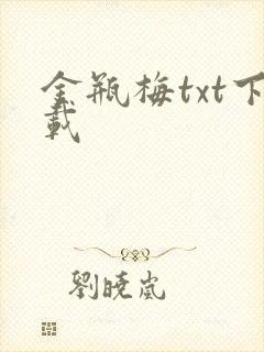 金瓶梅txt下载封面