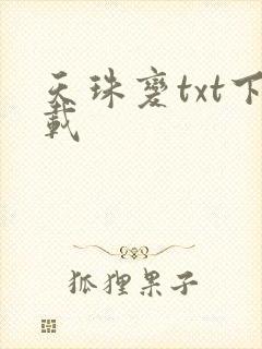 天珠变txt下载封面