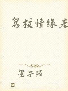 驾校情缘老赵封面