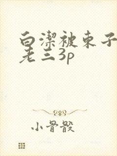 白洁被东子老二老三3p