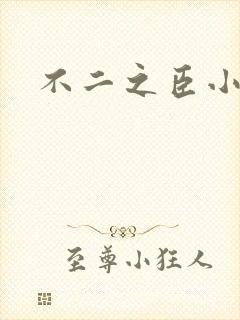 不二之臣小说
