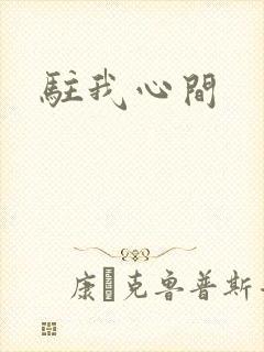 驻我心间