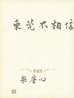 东莞不相信眼泪