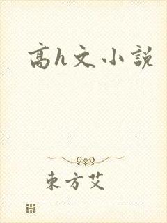 高h文小说