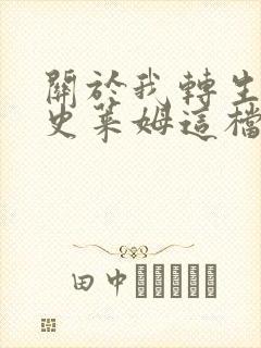 关于我转生变成史莱姆这档事小说