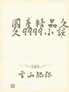 国产精品久久久久9999小说封面