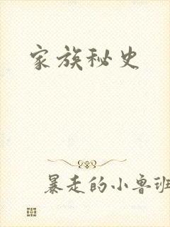 家族秘史封面
