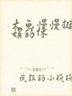 大龟慢慢挺进张娟的休