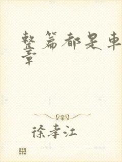 整篇都是车的文章