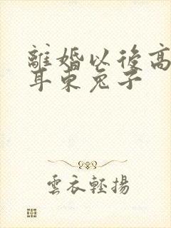 离婚以后高干 耳东兔子封面