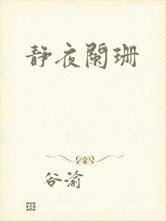 静夜阑珊