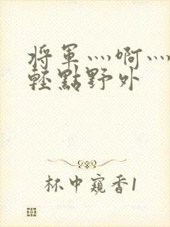 将军灬啊灬啊灬轻点野外