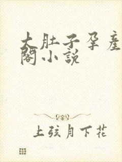 大肚子孕产笔趣阁小说