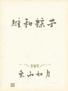 维和粽子
