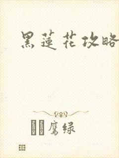 黑莲花攻略手册封面